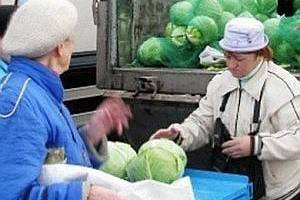 В Воронеже пройдут сельскохозяйственные ярмарки
