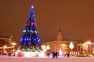 В Новогоднюю ночь в Воронеже ожидается слабый мороз без осадков