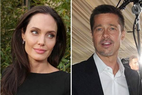 Анджелина Джоли протянула Брэду Питт ветвь мира, а он её отверг