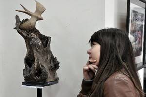 На открывшейся в Воронеже выставке «Анималистика»  представлены фото, графика и скульптура