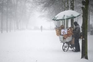 Мощные снегопады и сильные морозы – в Европе замерзают люди и останавливается транспорт
