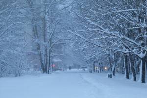 Снегопад вернётся в Воронеж уже воскресным вечером