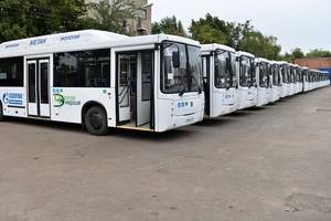 28 августа на  народные маршруты Воронежа выйдут 25 новых автобусов