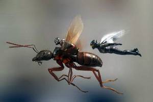 Кассовые сборы в Америке за пятницу: «Человек-муравей и Оса» стартует хорошо, хотя аналитики ожидали большего