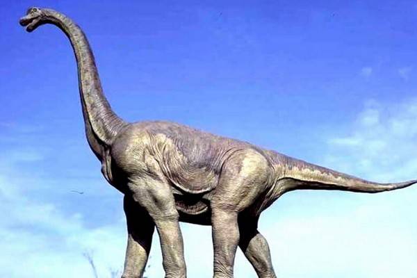 В детском парке «Орлёнок» поселится 20-метровый брахиозавр и ещё 80 динозавров