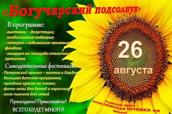 На юге Воронежской области решили проводить свой фестиваль — «Богучарский подсолнух» (SanflowerFest)