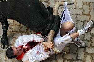 В Испании быки стали массово убивать людей