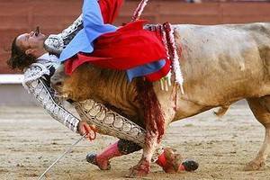 В Мадриде бык нанес матадору чудовищное увечье