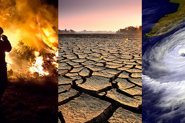 Учёные: изменения климата приведут к катастрофическим последствиям уже через два десятилетия