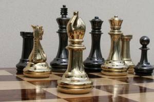 Шахматному  фестивалю в Воронеже могут присвоить имя Александра Алехина