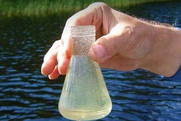 Санитарные врачи нашли колиформные бактерии в воде у пляжа парка «Алые паруса» и у стадиона «Локомотив»