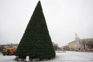 Ёлку на площади Ленина соорудят к 18 декабря, в городе зальют 80 катков
