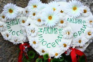 В Воронеже проводится благотворительная акция «Белый цветок»