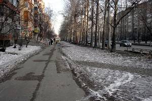 Морозы будут стоять в Воронеже до католического Рождества
