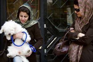 В Иране издали фетву против домашних животных