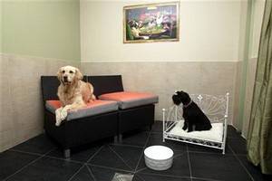 В Париже открылся  отель класса "люкс" для собак
