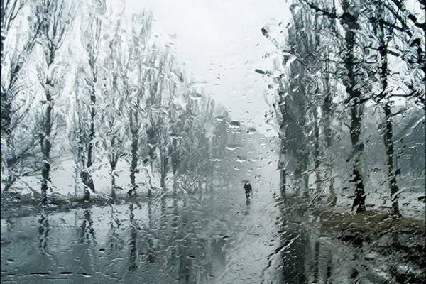Дождь будет лить в Воронеже три дня и три ночи