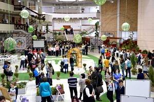 В Воронеже завершился областной экологический фестиваль «Древо жизни»