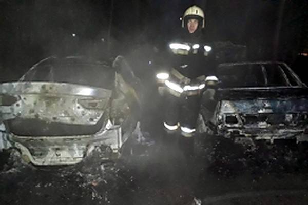 Два легковых автомобиля сгорели ночью в Воронеже