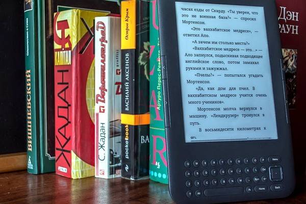 Воронежцы стали больше покупать электронных книг, чем бумажных