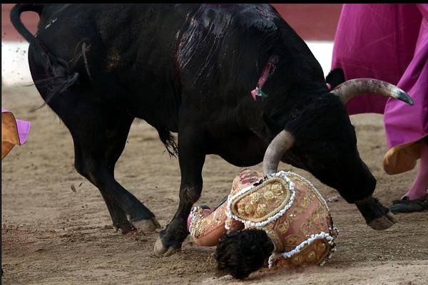 Знаменитый испанский тореадор  Иван Фандиньо убит быком