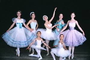 Воронеж станет местом проведения фестиваля хореографических училищ СНГ