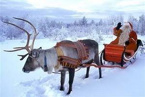 Воронежцы хотели бы встретить Новый год в Финляндии, Украине или Абхазии