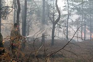 На территории Воронежской области остаются 8 очагов пожара