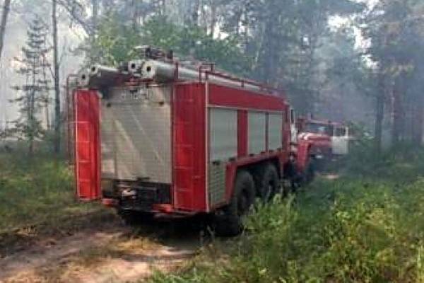 В пяти районах Воронежской области сложилась чрезвычайная пожароопасная обстановка