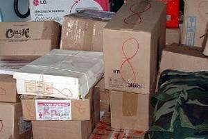 В Воронеж прислали сто тонн гуманитарной помощи погорельцам