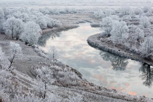 Уж зима катит в глаза: в Воронежской области на следующей неделе установится снежный покров