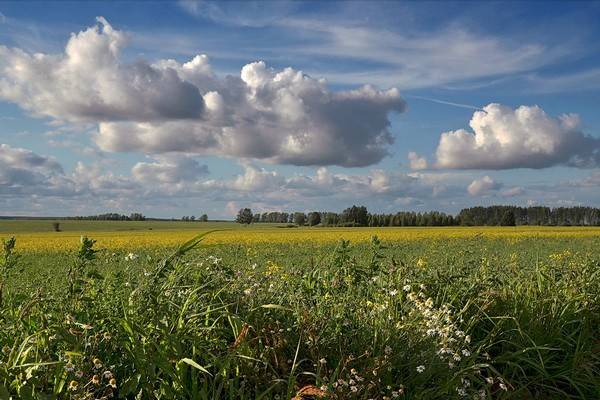 Стало известно, когда в Воронеж придёт летнее тепло