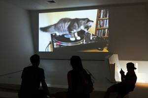 В музее Нью-Йорка открылась выставка, посвящённая кошкам в интернете