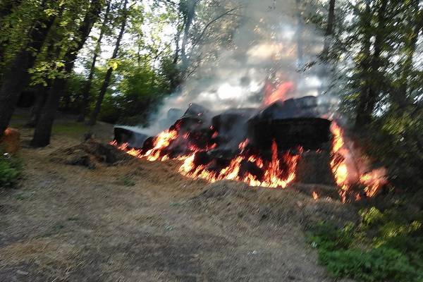 Пожар в Центральном парке Воронежа объяснили поджогом