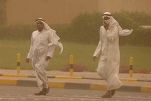 Побит температурный рекорд для Восточного полушария, воздух  в Кувейте прогрелся до 54 градусов Цельсия