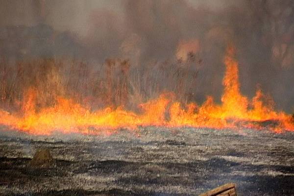 В Воронежской области – пожары и наводнения одновременно, глава региона потребовал держать ситуацию под контролем