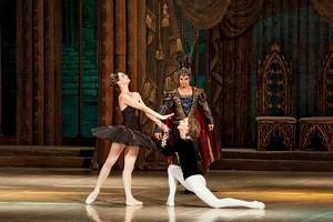 В Воронеже отметили 55-летие постановки балета «Лебединое озеро»