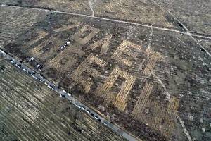 Под Воронежем из тысяч высаженных деревьев составили надпись «70 лет Победы»