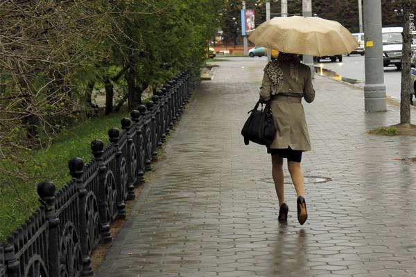 Воронежцев и жителей других регионов России ждут ещё две волны холода