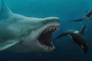 Кассовые сборы в Америке за пятницу, 10 августа: акула «Мег» сенсационно выросла прямо на глазах