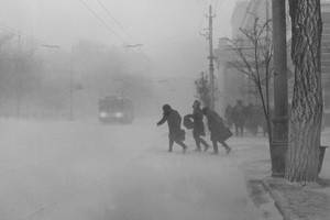Воронежцев предупредили о сильном ветре и метели 5 января