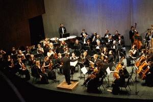 Юбилей Молодежного симфонического оркестра отметят в Воронеже большим концертом