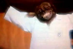 Американский телеканал показал обезьяну-гимнастку вскоре после победы Габриэль Дуглас