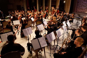 Молодёжный симфонический оркестр в Москве создадут по примеру воронежского