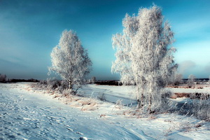 Мороз пришёл в Воронеж надолго, в конце недели будет минус 20