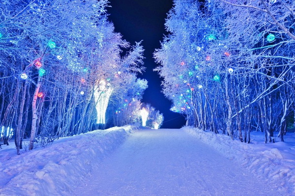 Пик похолодания в Воронеже придётся на 8 января, потом – потепление и снег