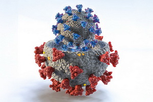 http://culturavrn.ru/Учёные обеспокоены Mu-вариантом коронавируса и внимательно за ним следят