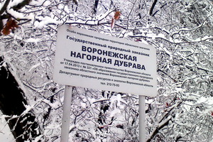 В Воронеже продолжают вынашивать планы «развития» Нагорной дубравы – уникального природного заказника у стен города