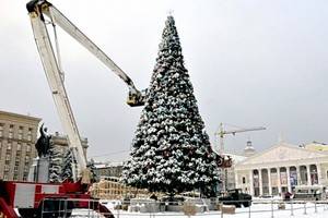 К установке ёлки на главной площади Воронежа приступят после 13 декабря