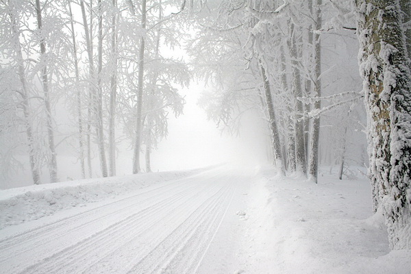 Воронеж: сегодня туман с происшествиями, в субботу – мороз